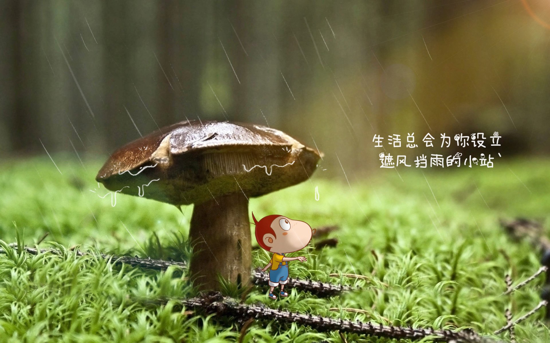 具有挑战性的大型障碍跳跃赛，勇者的专属舞台，跳障碍物玩法