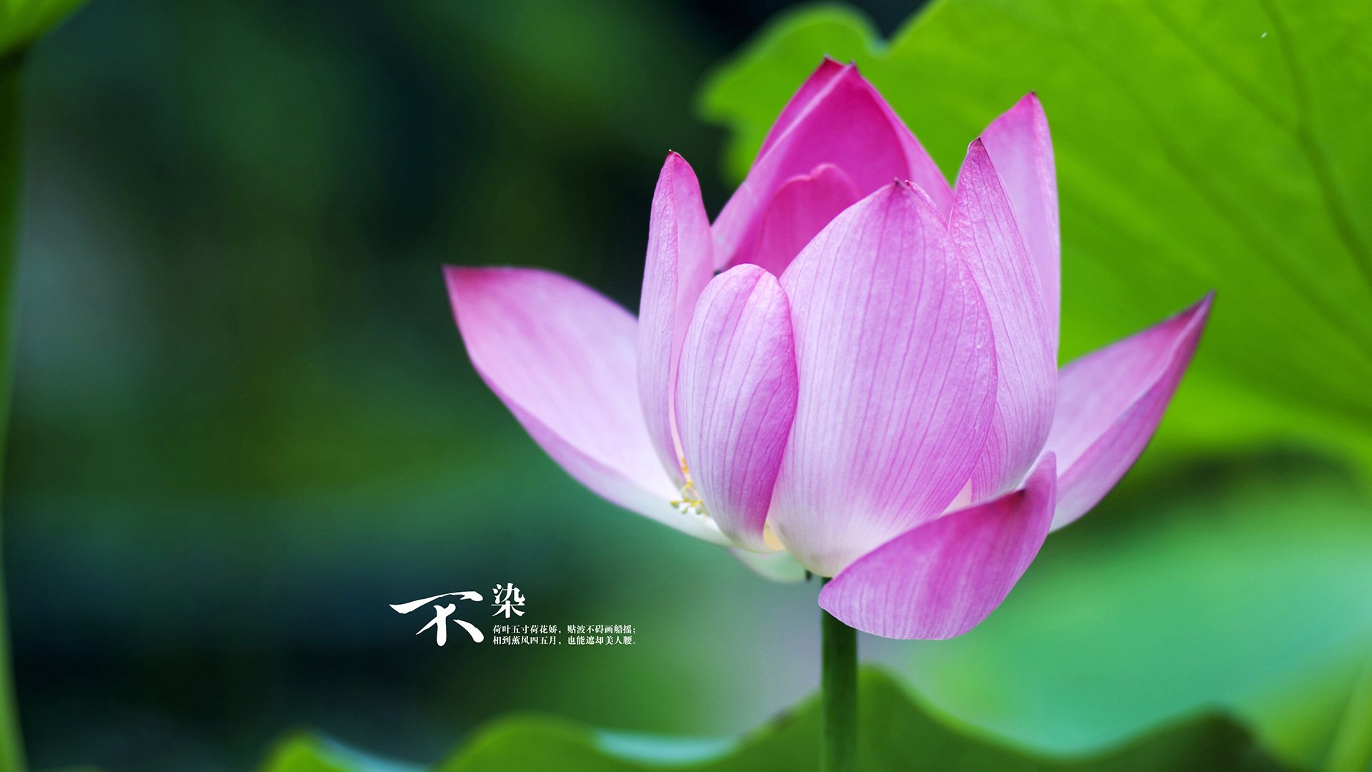 意甲紧张厮杀，教练分析比赛亮点，意甲教练年薪排行