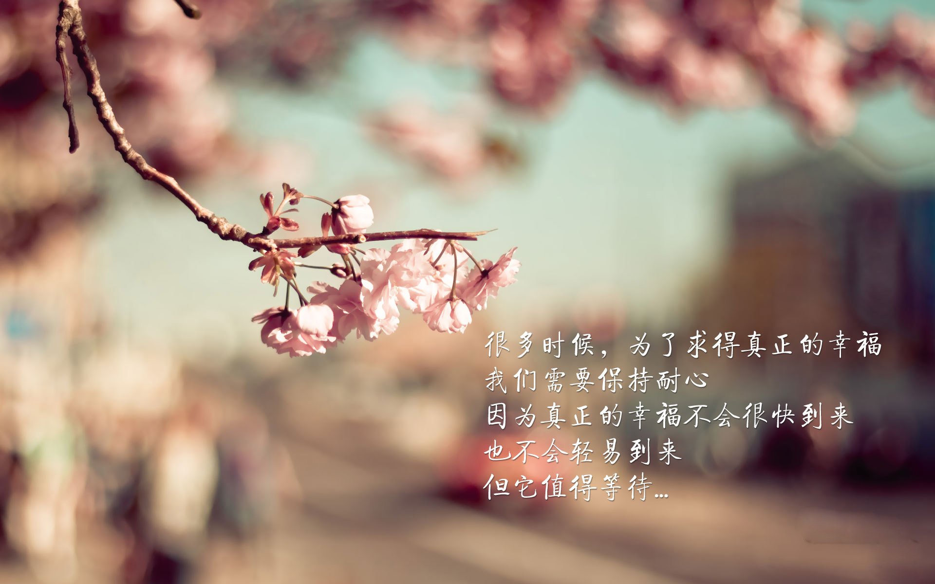 最先进的车身材料带来极速体验，较先进的车体材料