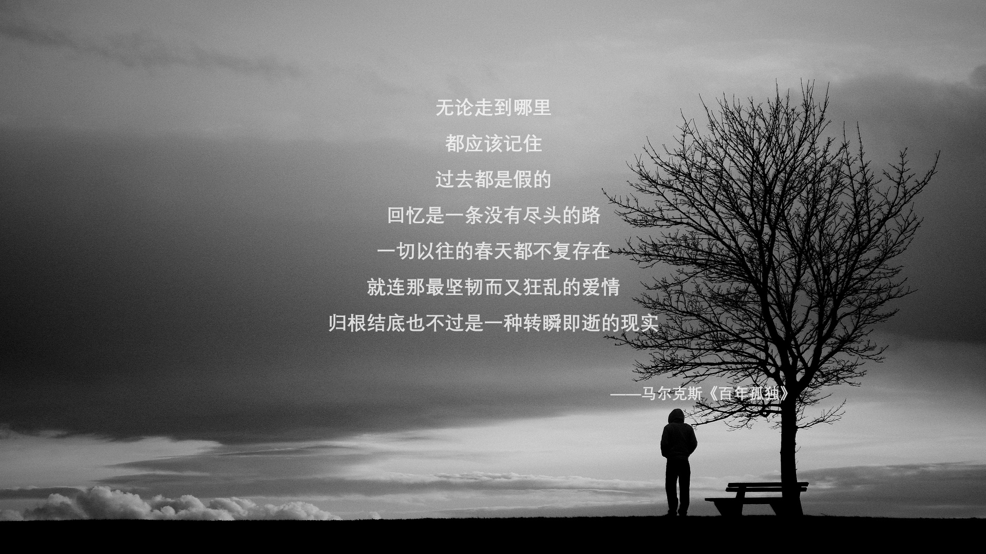 最先进的车身材料带来极速体验，较先进的车体材料