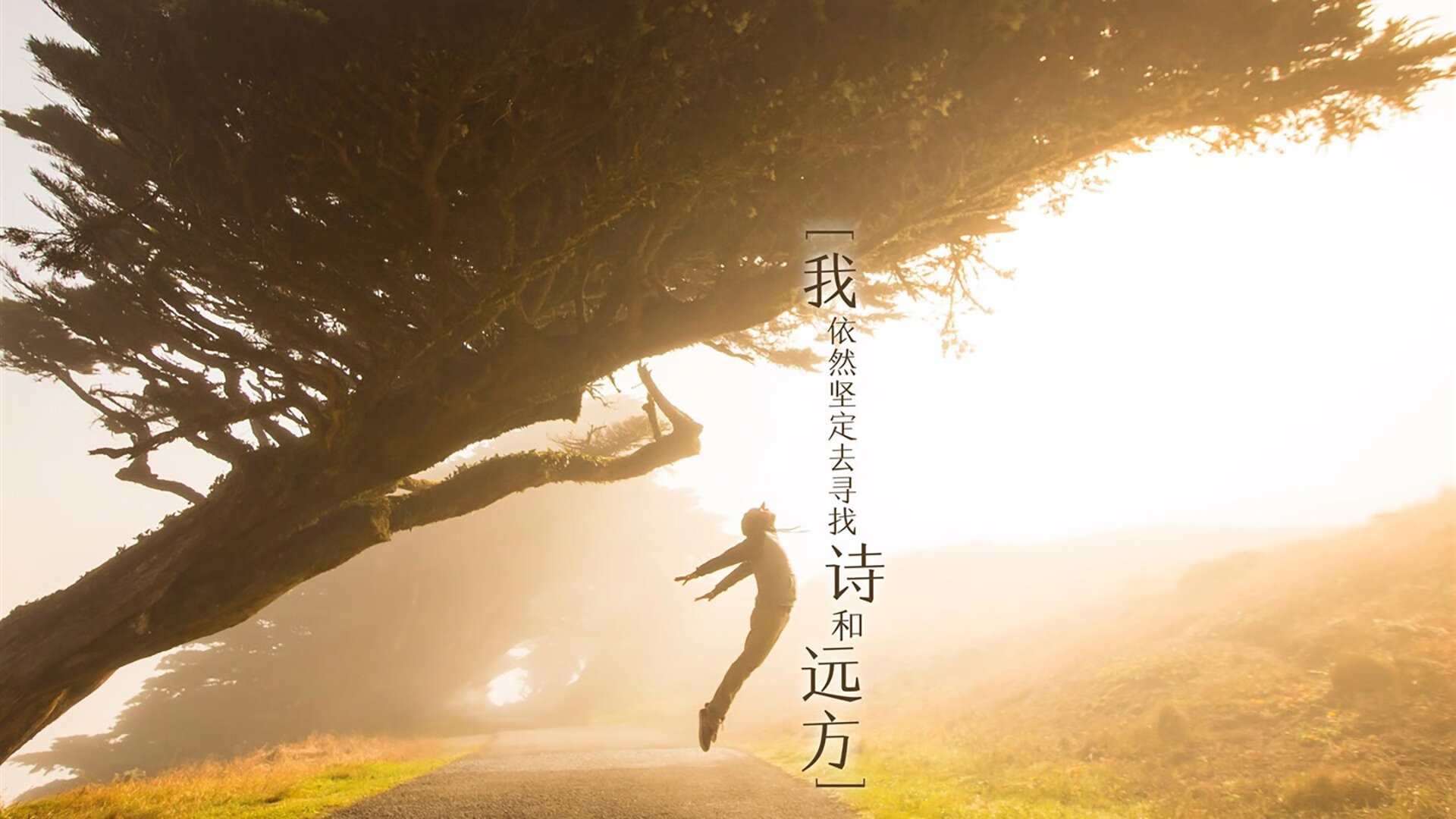 中国足球中场压制效果与控球率关联图，中场球员控球技巧