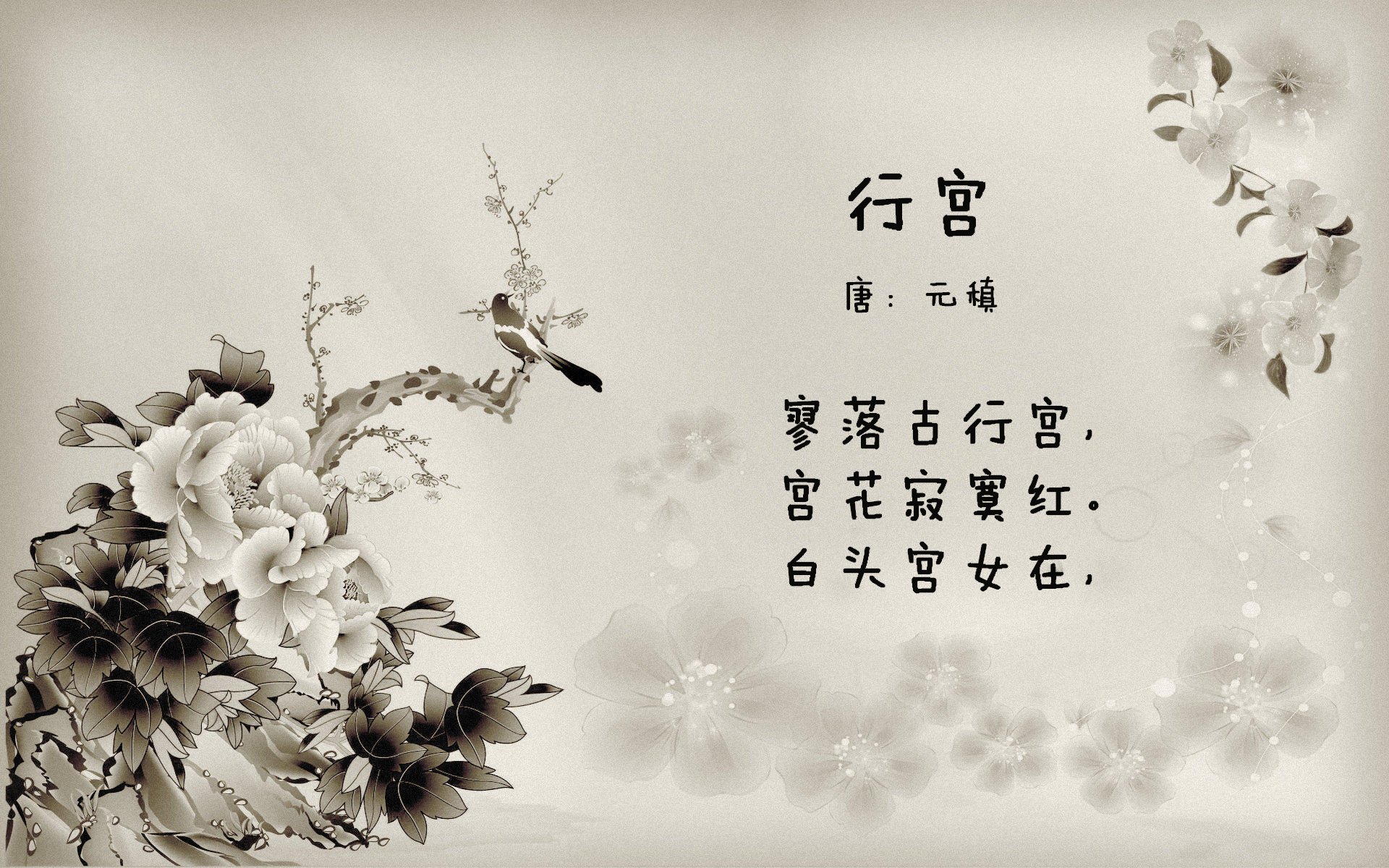 图穆亚的全面表现使袋鼠队在比赛中占得先机，稳步取胜