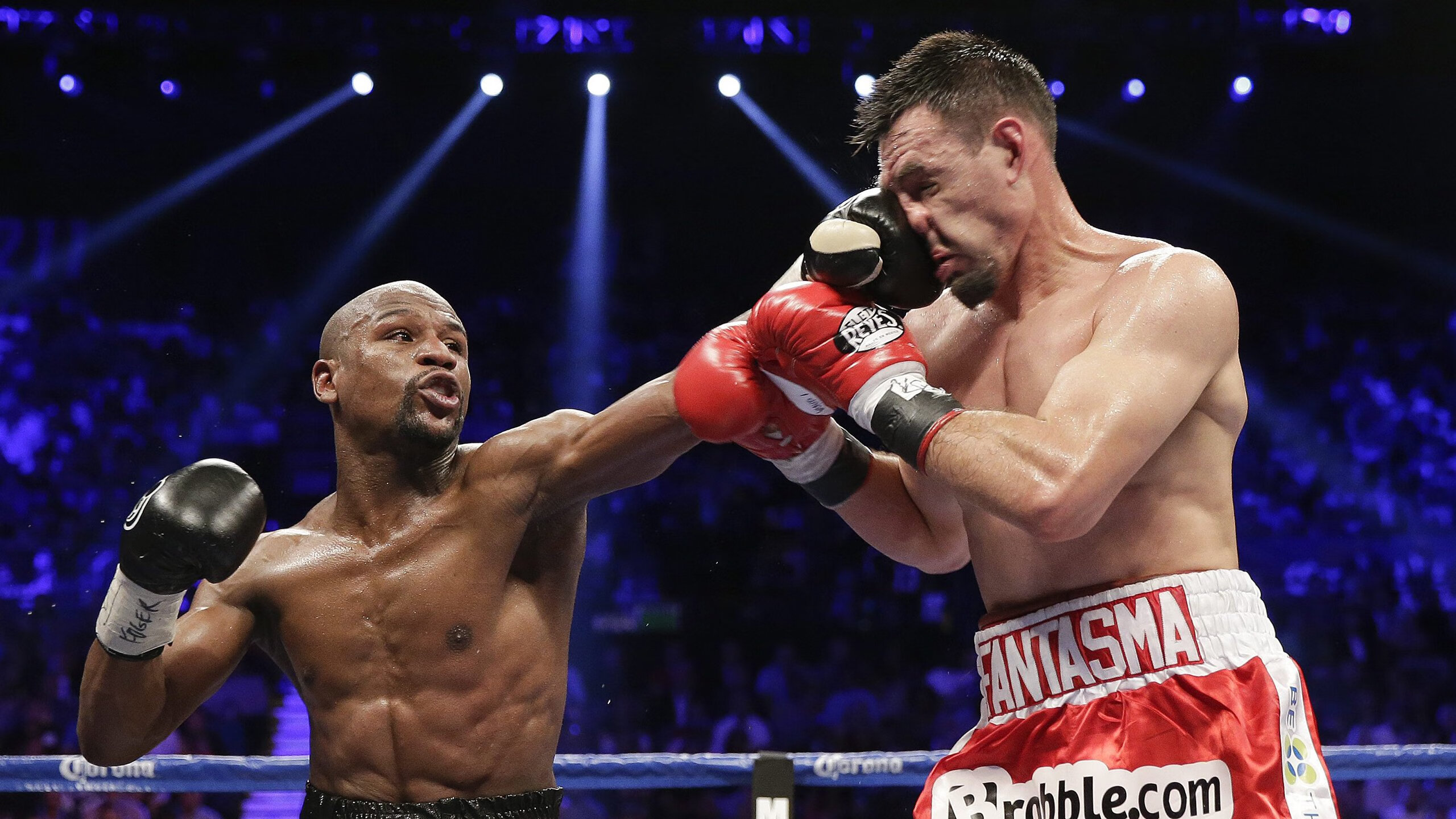 _传统体育文化长廊：精彩展现民族体育魅力_，体育 传统文化