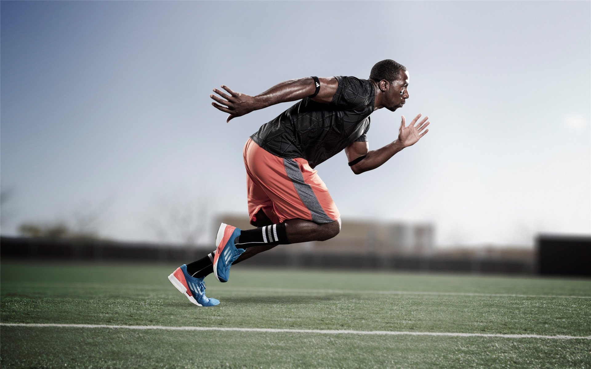 篮球战术视频教学受教练员青睐，篮球战术教程